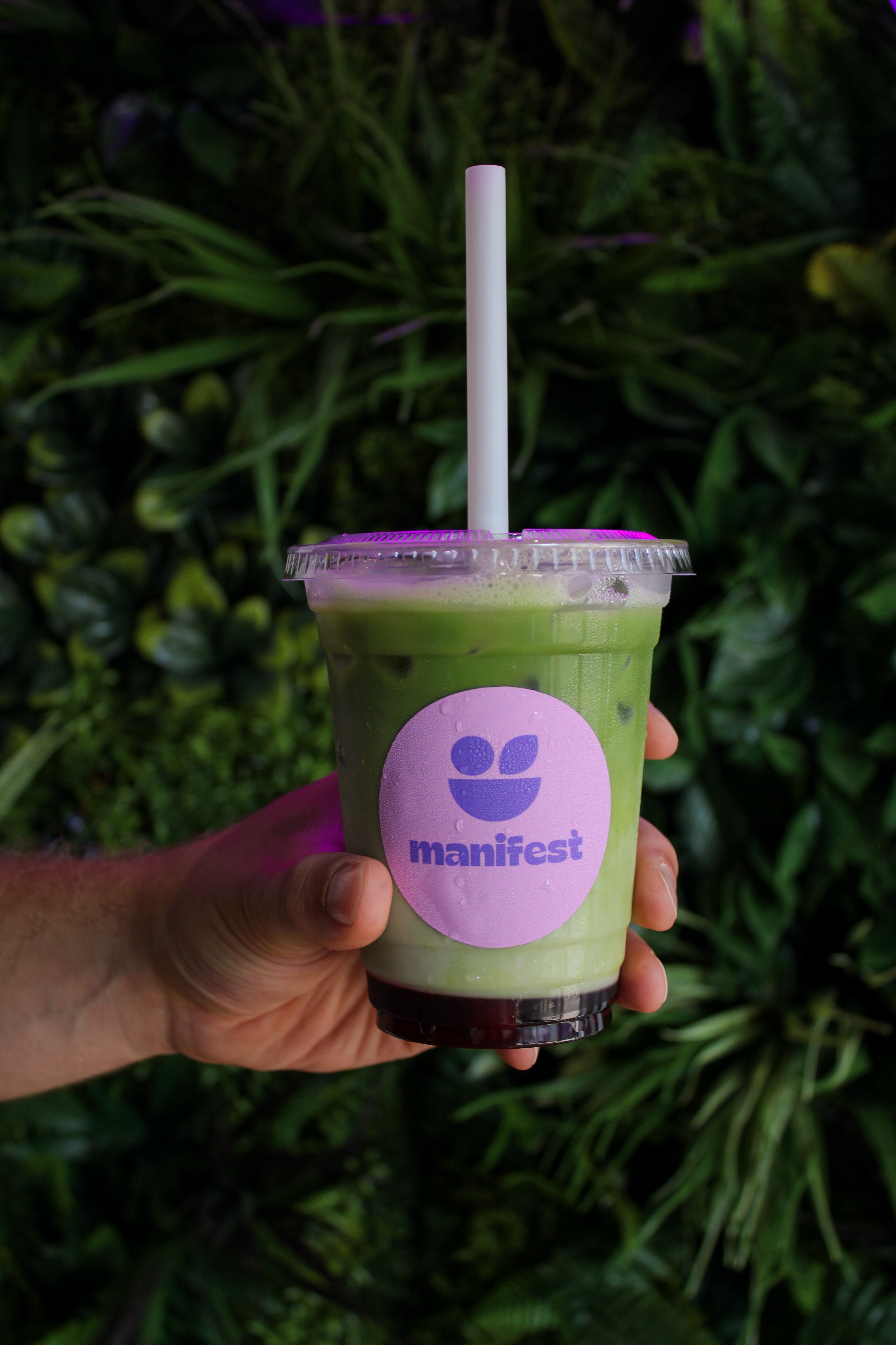 Manifest Smoothie